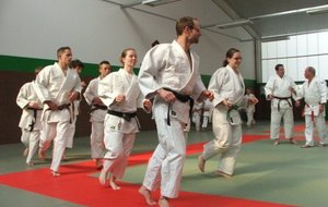 Entrainement au Dojo